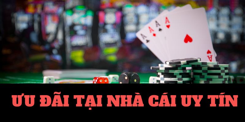 Zclub Trực Tiếp Xổ Số Miền Trung Hôm Nay Zclub Trực Tiếp Xổ Số Miền Trung Hôm Nay