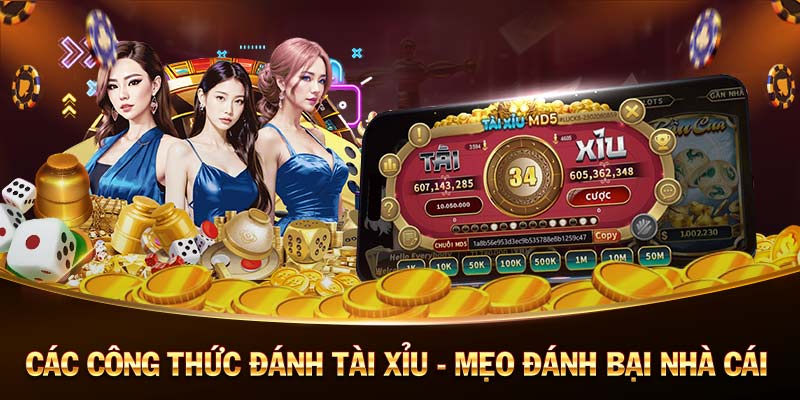 TYPHU88-Tiếp cận mọi thông tin với link truy cập nhanh! TYPHU88-Tiếp cận mọi thông tin với link truy cập nhanh!